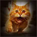猫咪格斗战争模拟器下载-猫咪格斗战争模拟器v8.7.7苹果